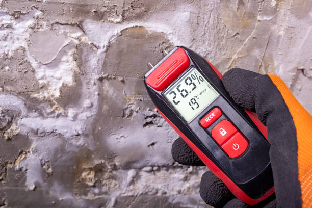 Best Mold Removal Near Me  in Arnold Line, MS
