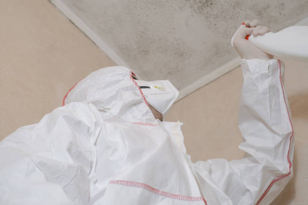 Best Residential Mold Removal  in Arnold Line, MS